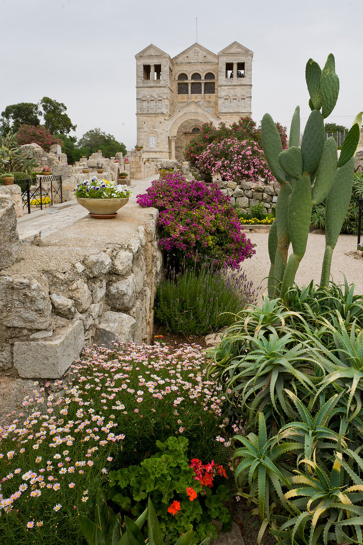 Garden in front of Church of the Transfiguration, Mount Tabor, Israel