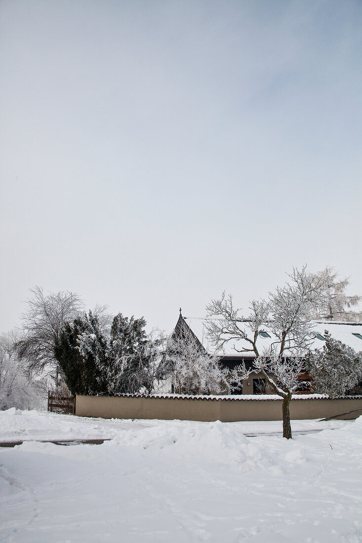 verschneites Haus, Garten, Bäume, Schnee, verschneit, Winter, weiß