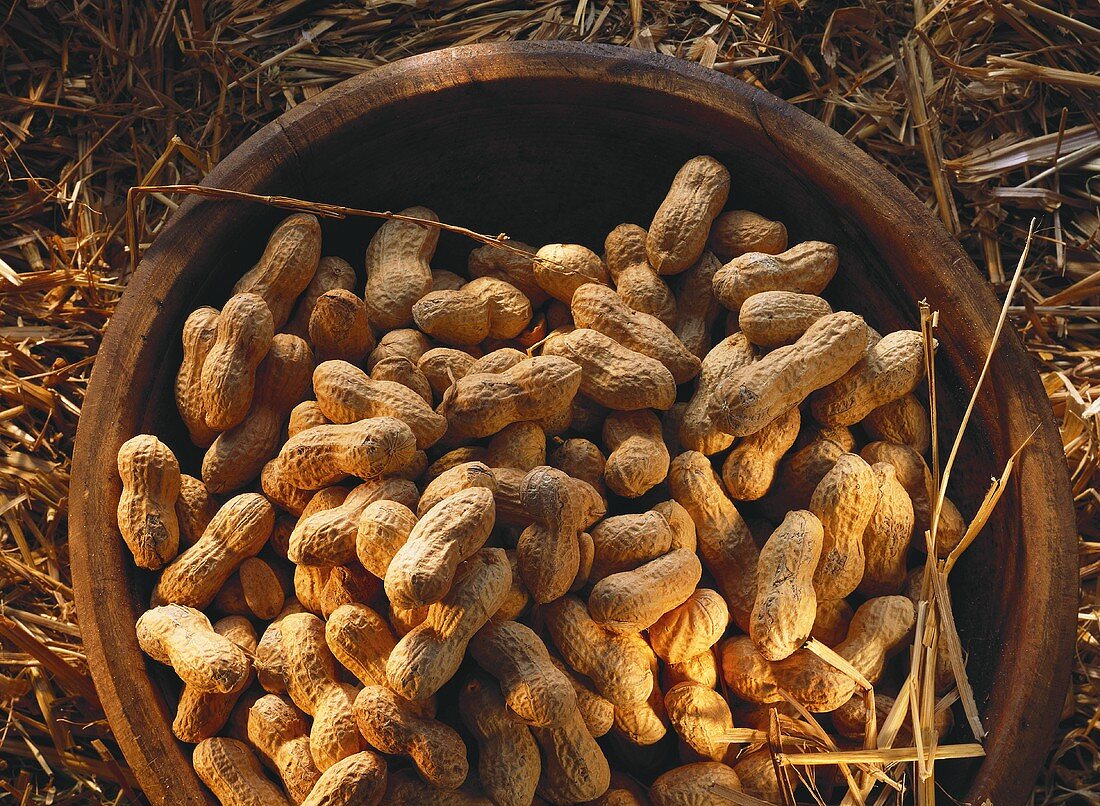Peanuts in wooden Bowl