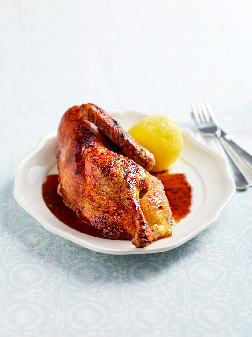 Roasted farm duck with sauce on plate, Bavaria, Germany