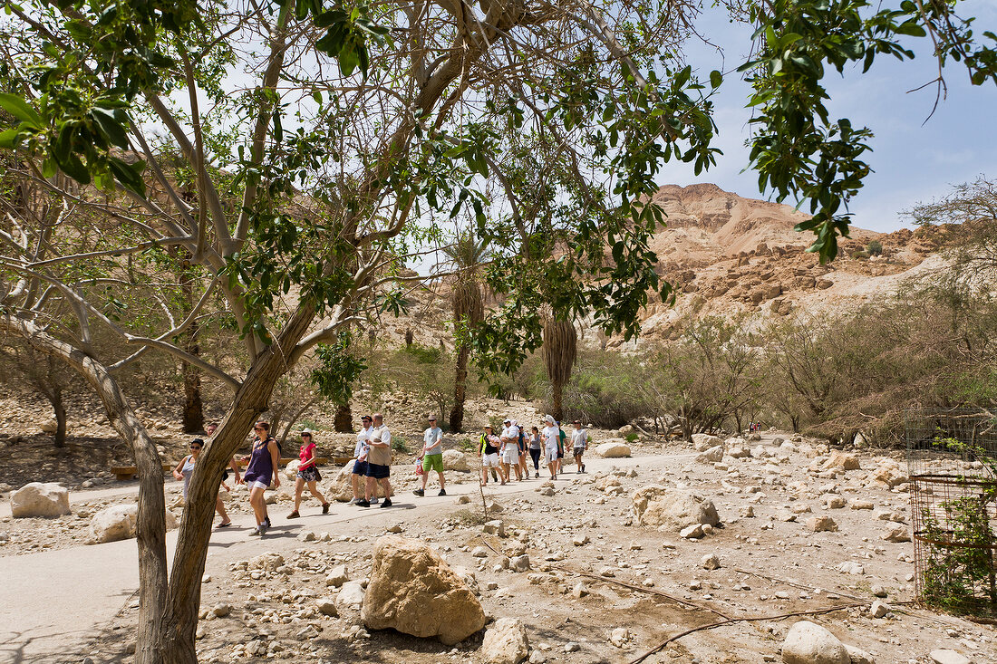 Tourists in Ein Gedi National Park, Wadi David, Israel,
