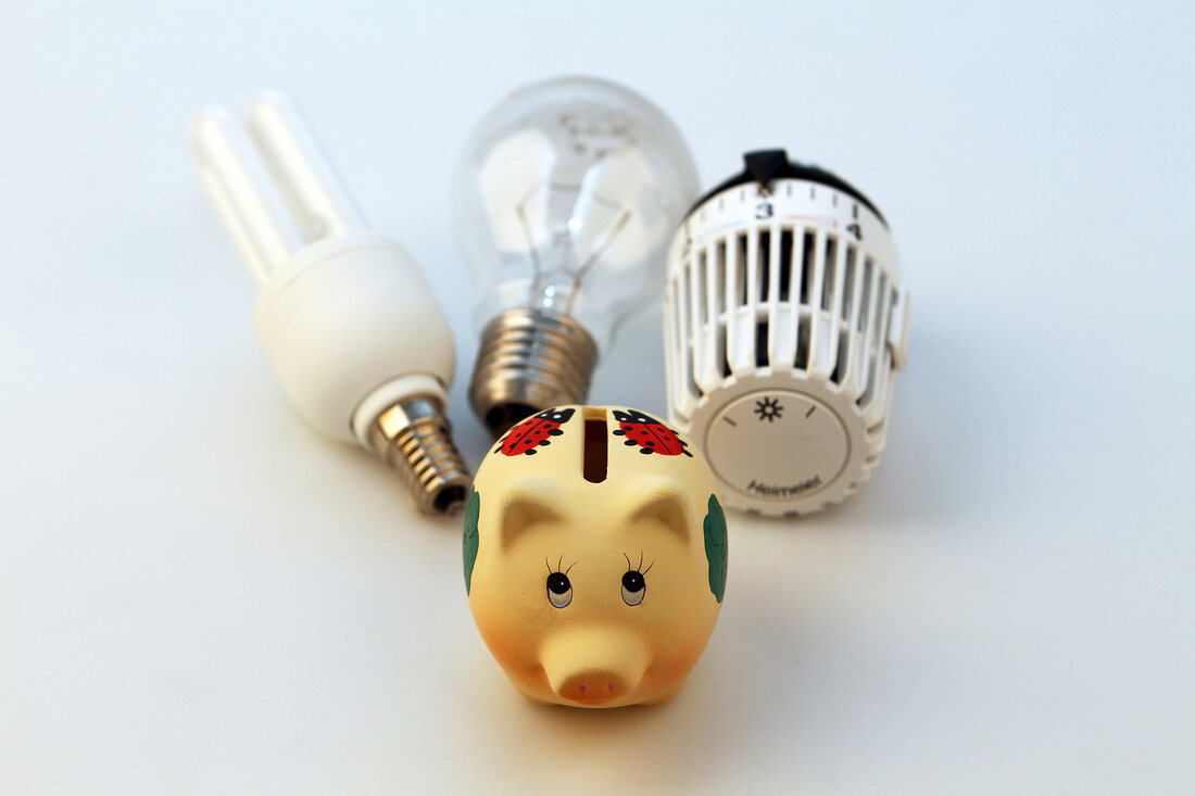 Glühbirne, Energiesparlampe, Sparschwein, Heizungsregler