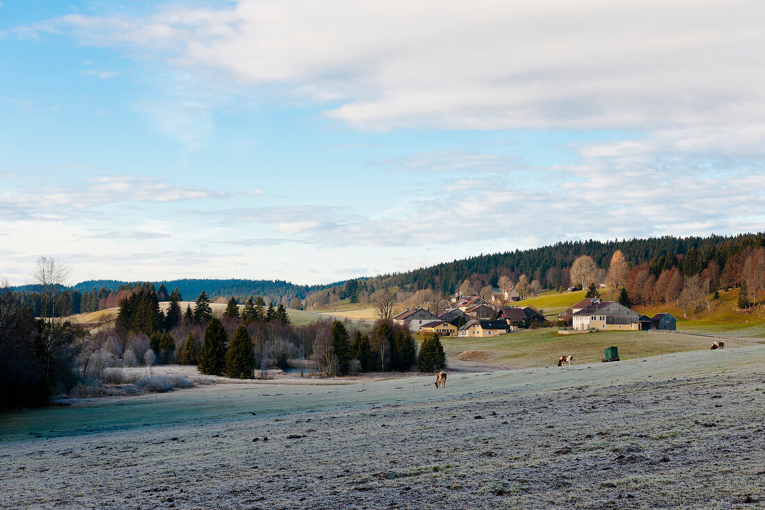 View of watch making town Le Sentier in Vallee de Joux, Lake Geneva, Switzerland