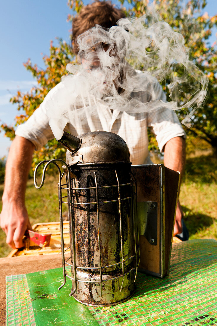 Beekeeper standing in front of beehive smoker, Kassel, Hesse, Germany