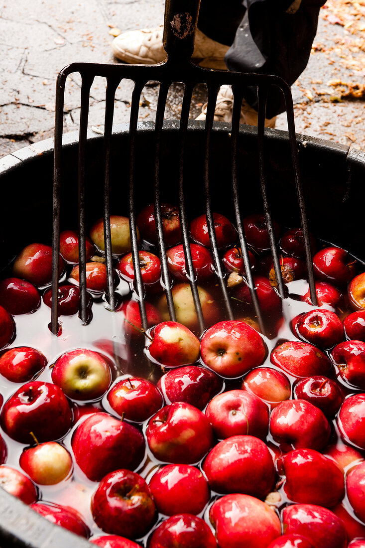 Red apple with pan fork at Hesse, Hofmosterei Ellershausen