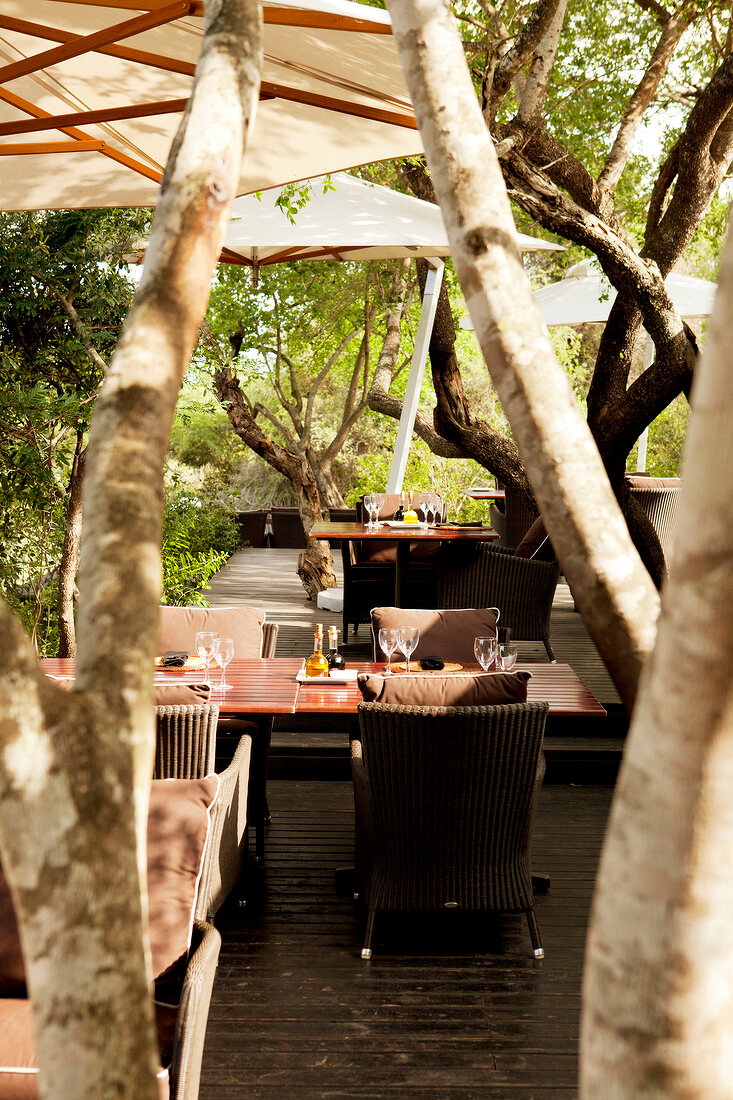 Dinning area in Phinda Forest Lodge, South Africa,