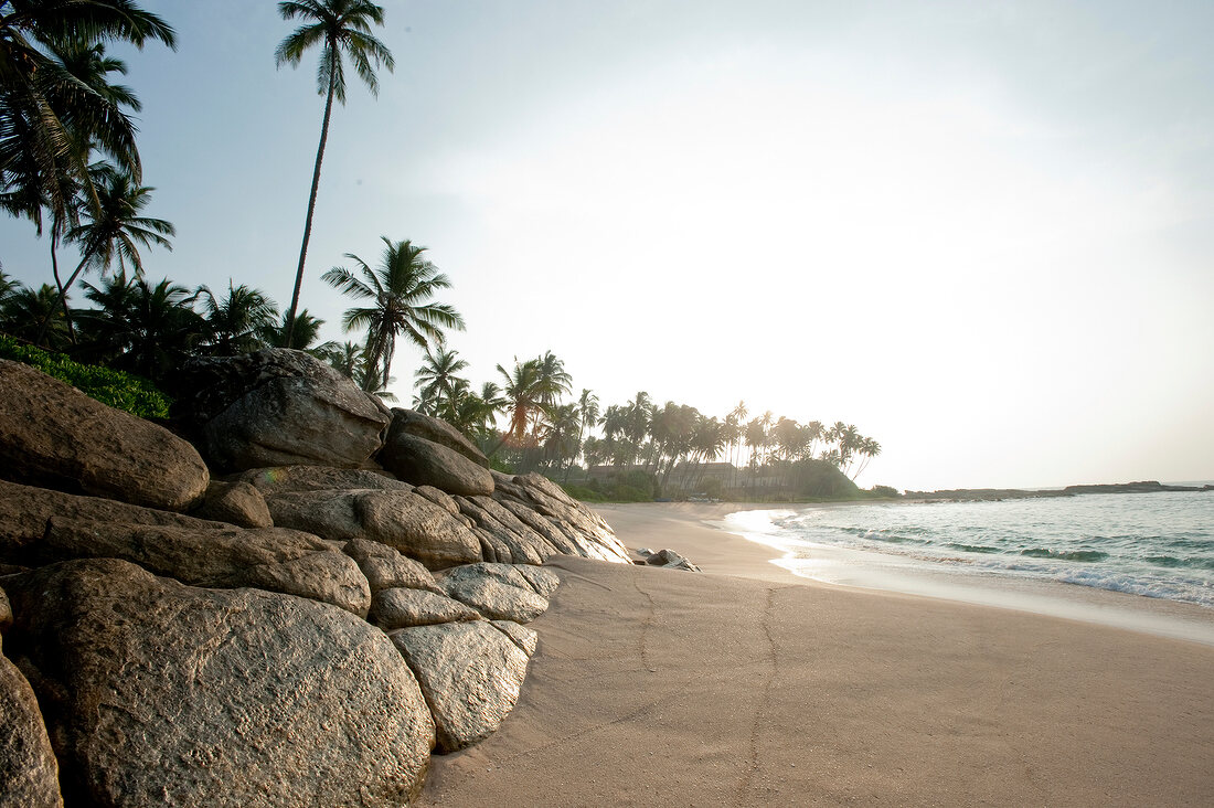 View of palm trees and Tangalle beach in Hambantota District, Southern Province, Sri Lanka