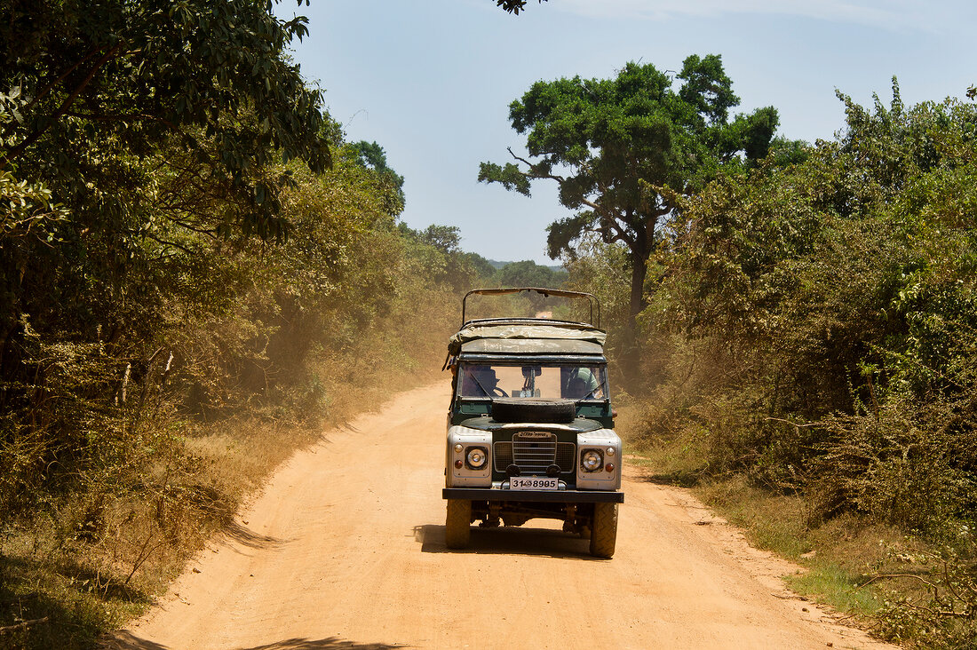 Jeep on dirt track in forest at Yala National Park, Sri Lanka