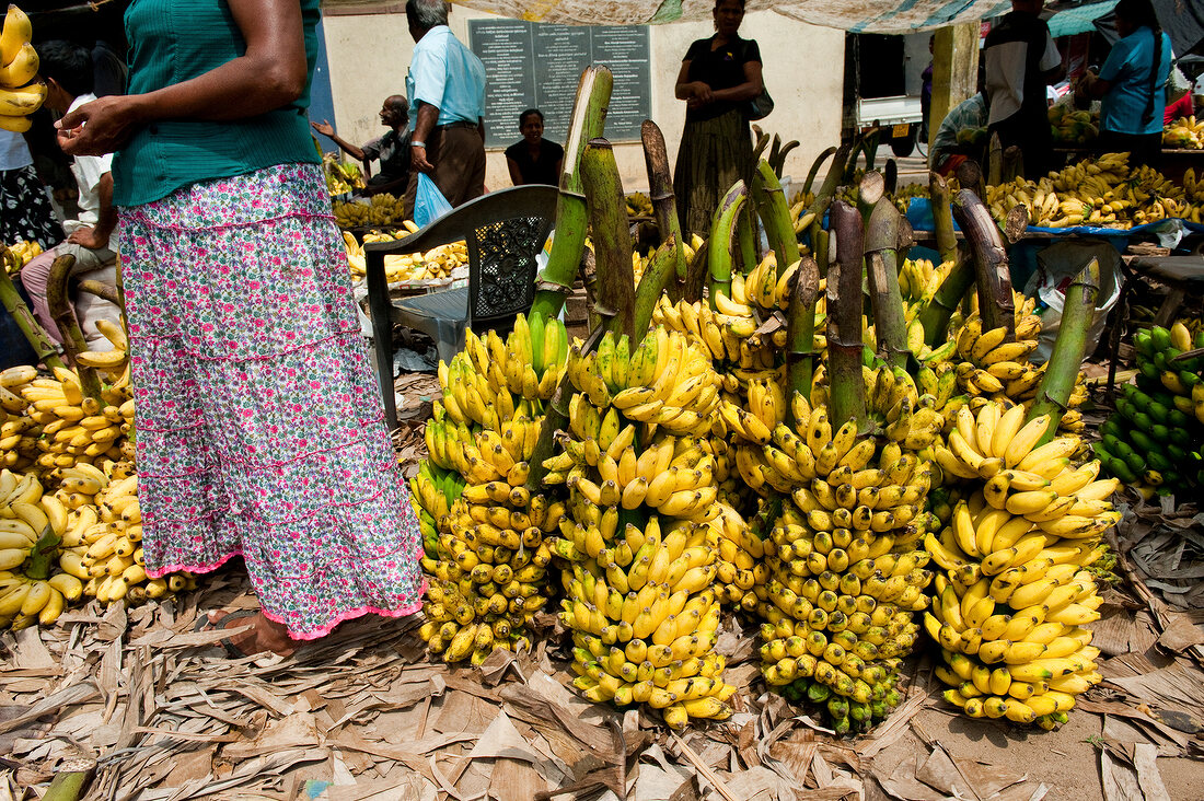 Saleswoman selling bananas at vegetable market in Matara, Sri Lanka