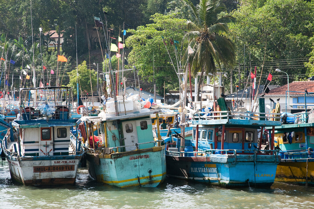 View of fishing boats moored at harbour in Tangalle, Sri Lanka
