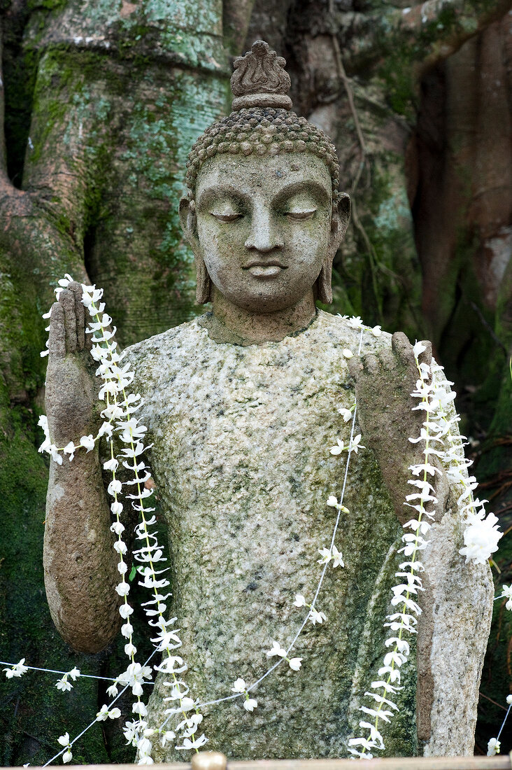 Close-up of Buddha statue with flower necklace, Colombo, Sri Lanka