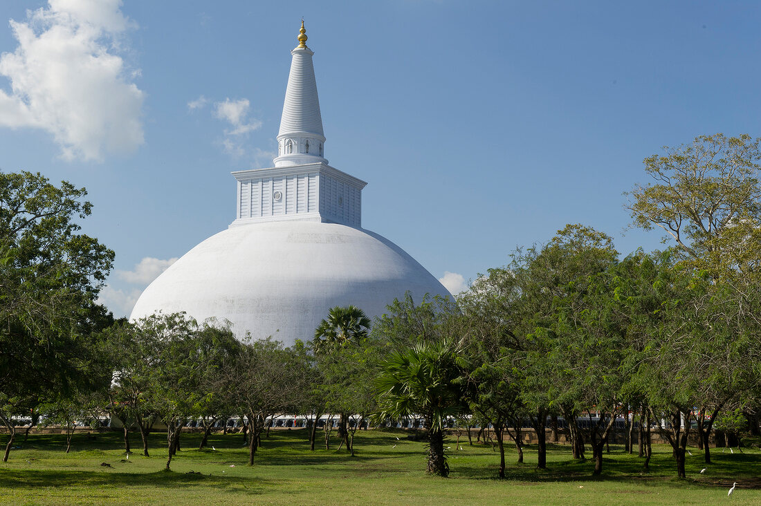 View of Stupa of Mirisawetiya Temple, Anuradhapura, Sri Lanka
