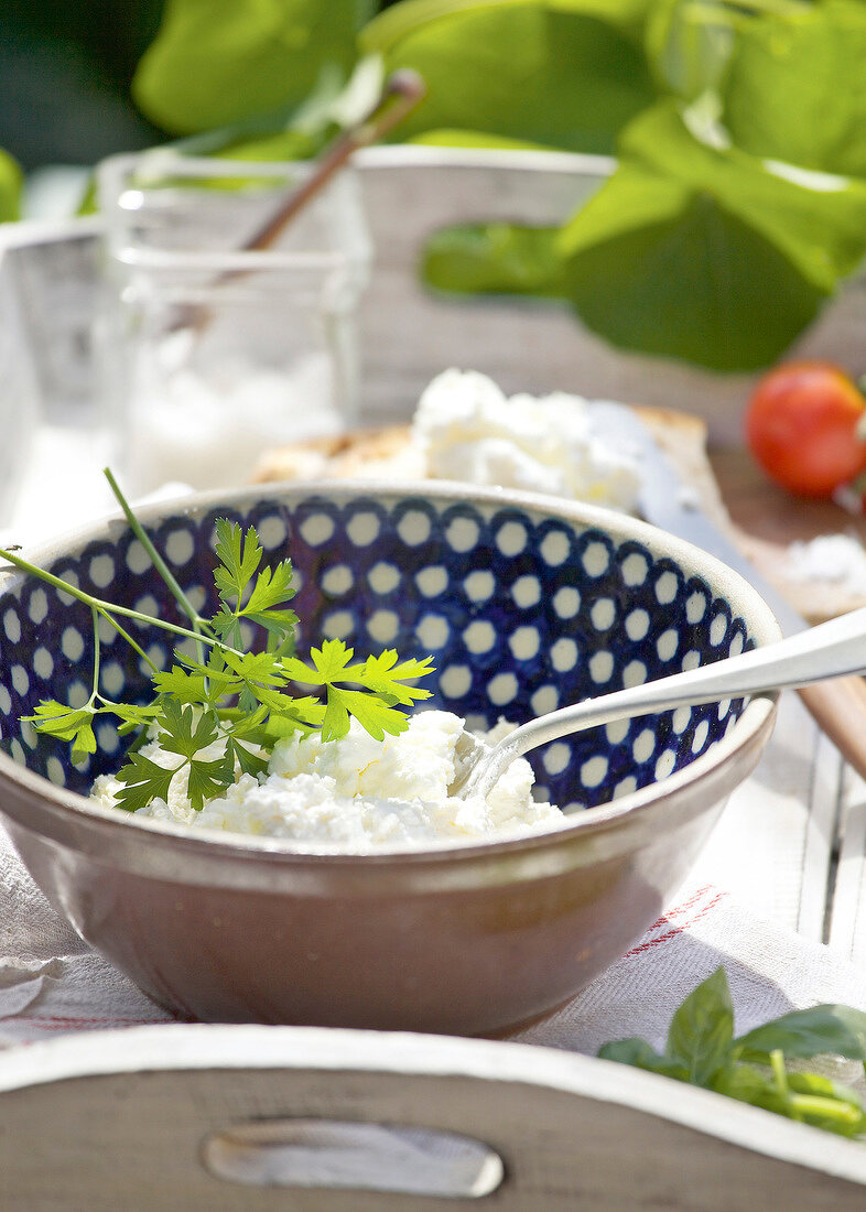 Curd with parsley in bowl