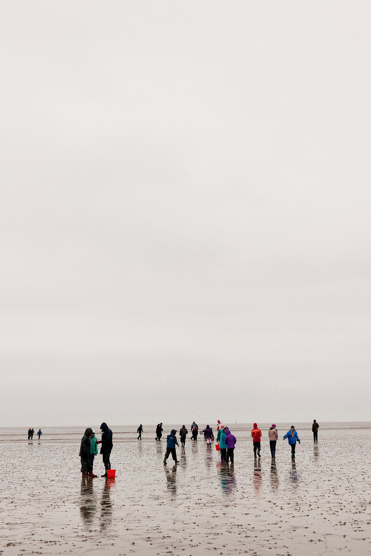 People enjoying on beach