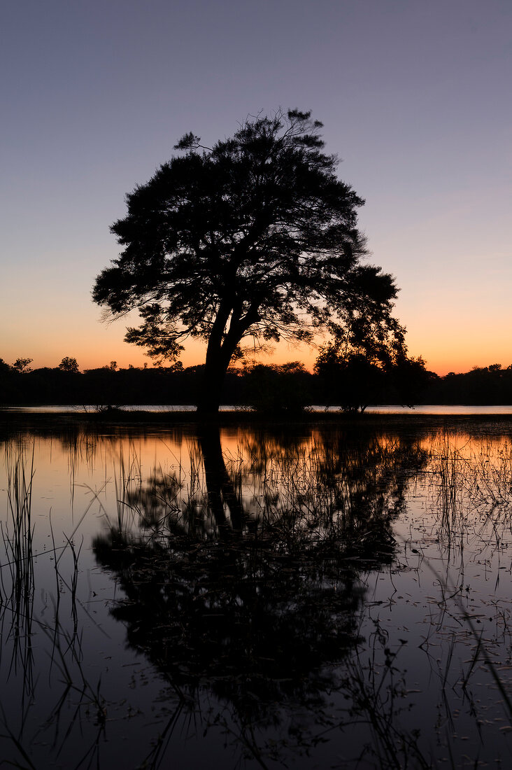 Sri Lanka, Anuradhapura, Landschaft, Sonnenuntergang, malerisch