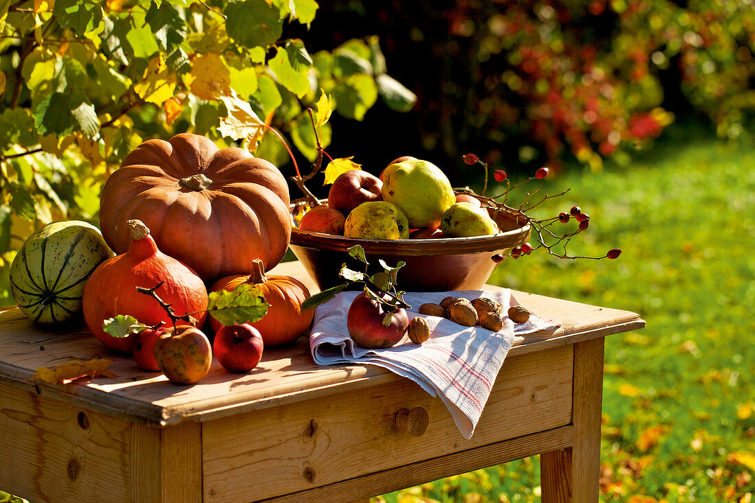 Pumpkins, apples and nuts on wooden table in garden