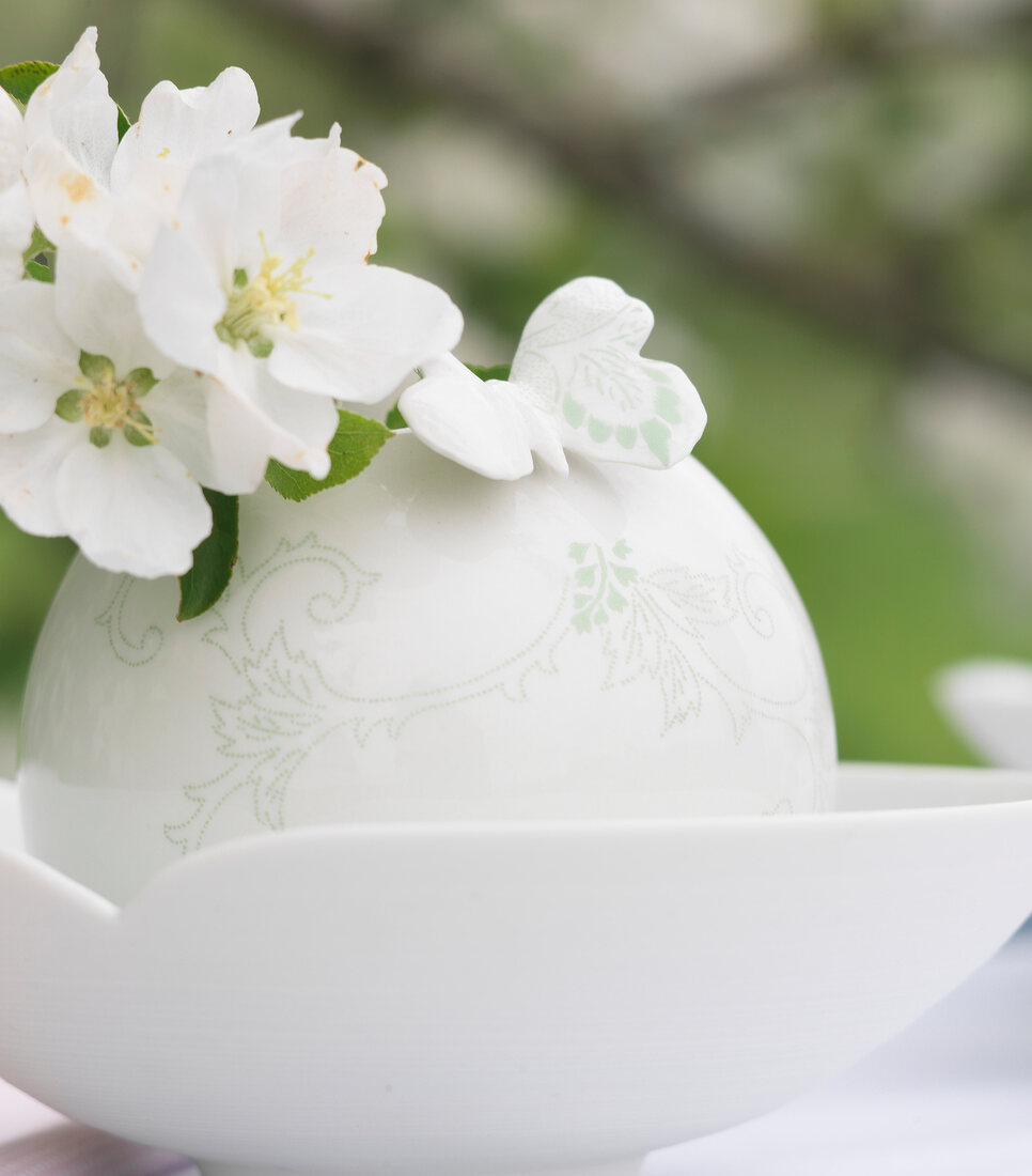 White vase with apple blossoms on table