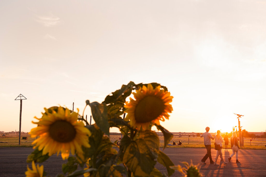 People at Tempelhof Field at sunset in Berlin, Germany