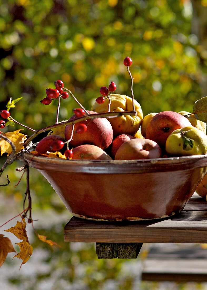 Close-up of bowl of apples, quince and rose hip branch on wooden surface