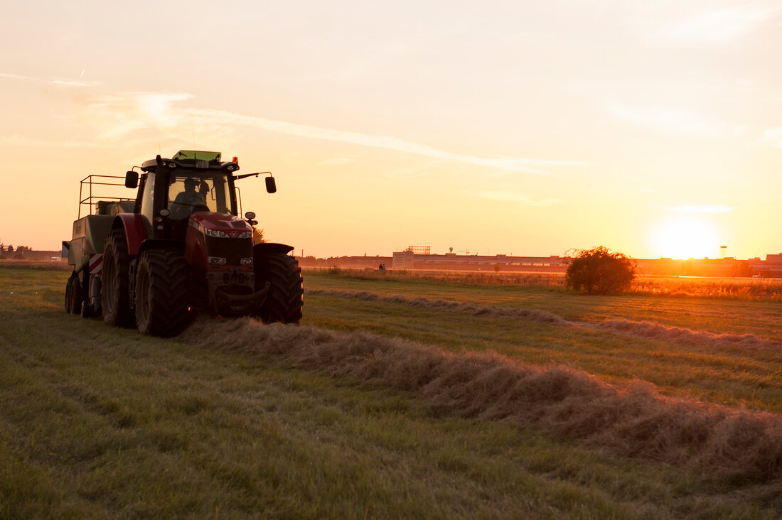 Berlin, Tempelhofer Feld, Garten, Abendsonne, Traktor