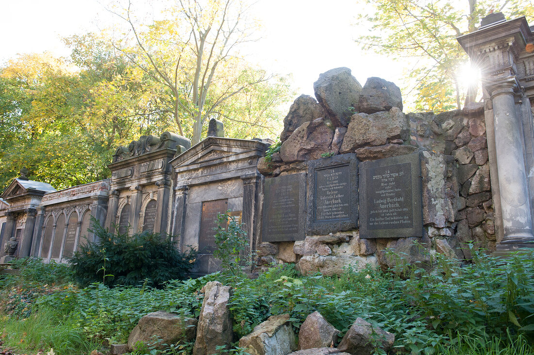 View of trees in Jewish cemetery at Weissensee, Berlin, Germany