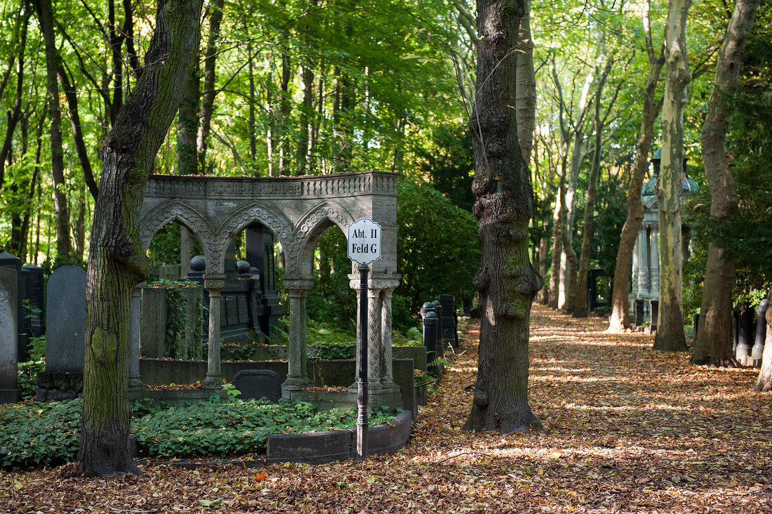 View of trees in Jewish cemetery at Weissensee, Berlin, Germany