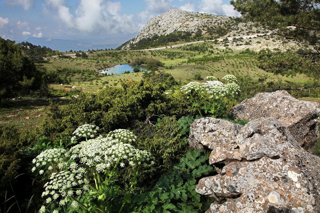 View of Spil Dagi National Park in Aegean, Turkey