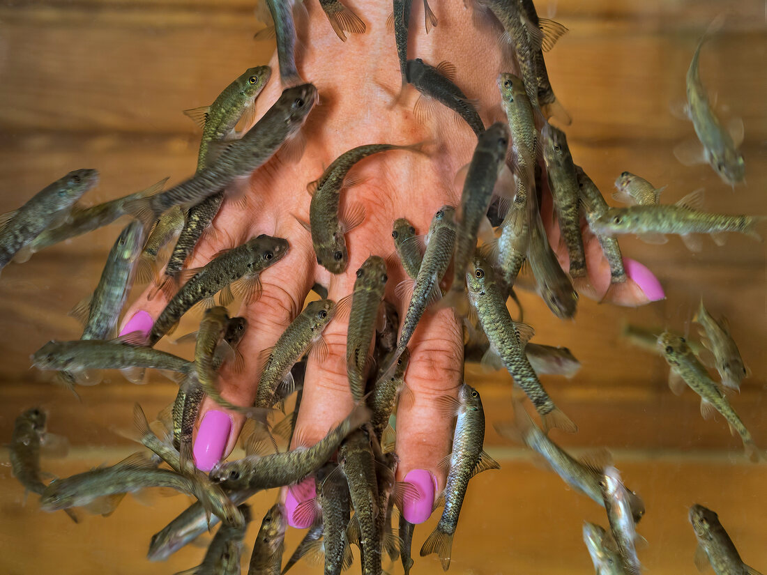 Close-up of woman's hand with doctor fish around in Hierapolis, Turkey