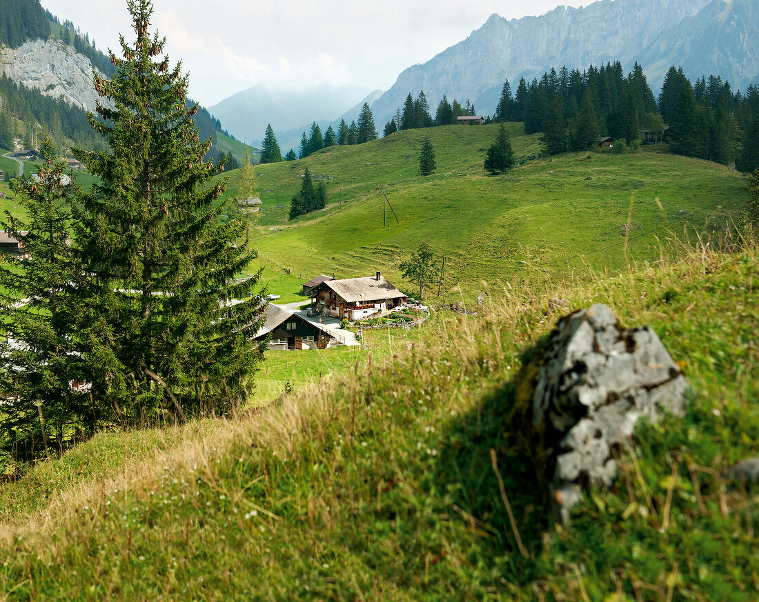 Kiental im Berner Oberland, Alp, Sennerei, Alphof Steinenberg, Alm