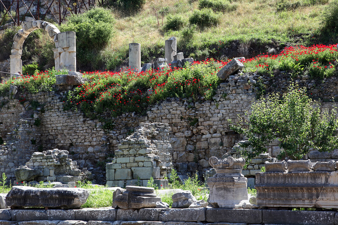 Ruins of Ephesus in Izmir, Aegean, Turkey