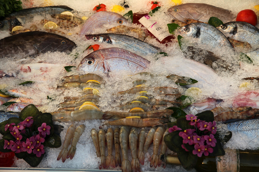 Various fresh fishes in fish market, Bodrum Peninsula, Aegean, Turkey