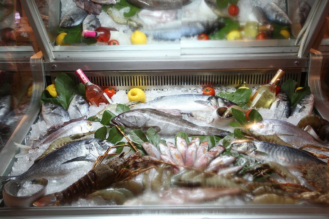 Fresh fish counter in fish market, Bodrum Peninsula, Aegean, Turkey