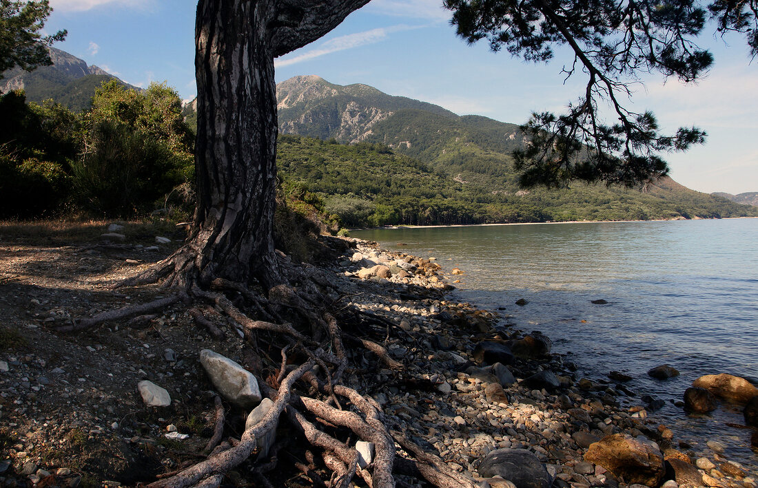 View of mountain and forest in Dilek Peninsula National Park, Turkey