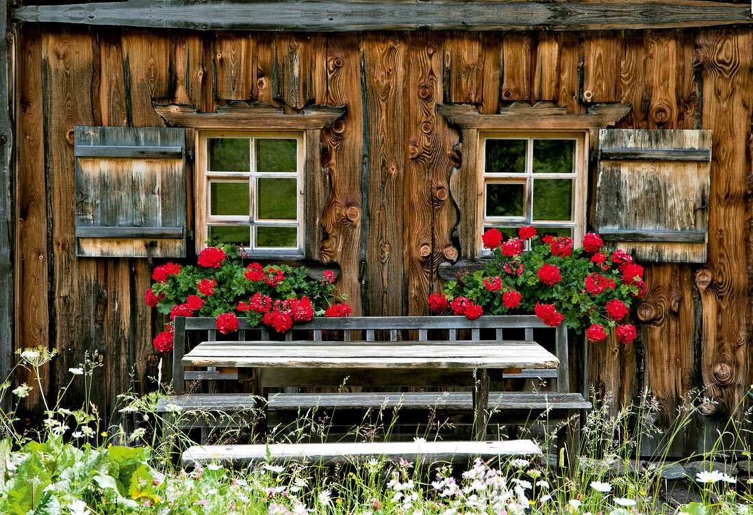 View of mountain hut and geraniums in Montafon, Austria