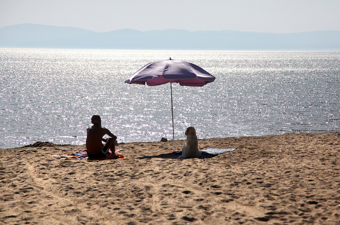 Man and dog sitting at Badavut beach, Ayvalik, Aegean, Turkey