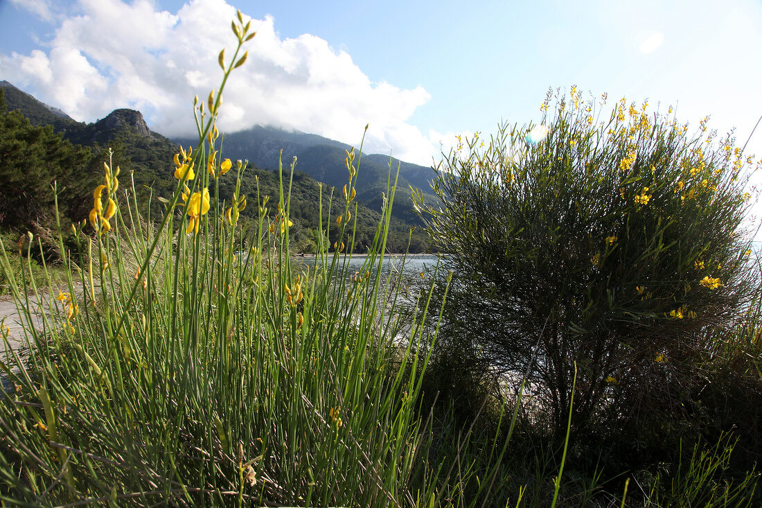 Türkei, Türkische Ägäis, Halbinsel Dilek, Nationalpark, Landschaft