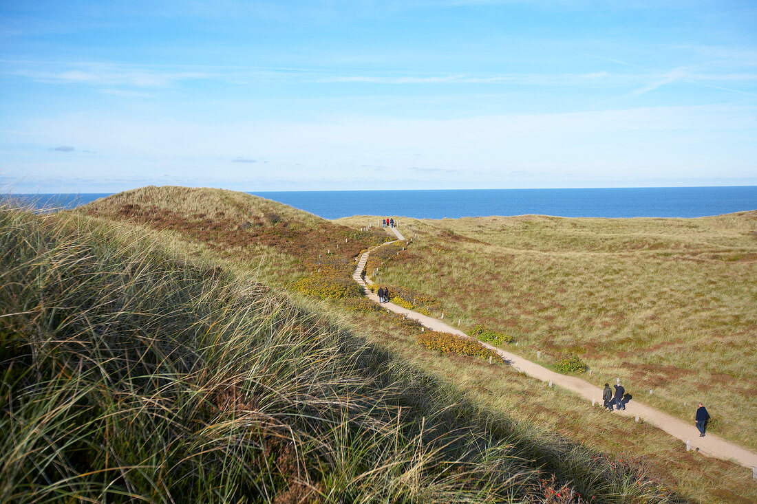 People walking in dunes on island of Sylt, Germany