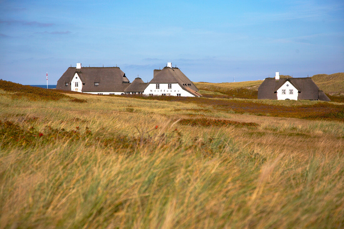 Sylt: Reetdachhaus an der Küste, Gras, Kliffende, Rotes Kliff