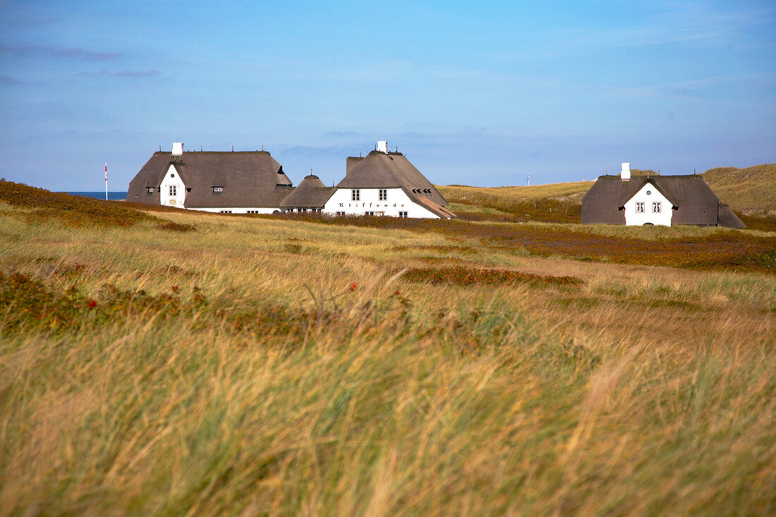 View of thatched cottages on the coast and grass field in Sylt, Germany