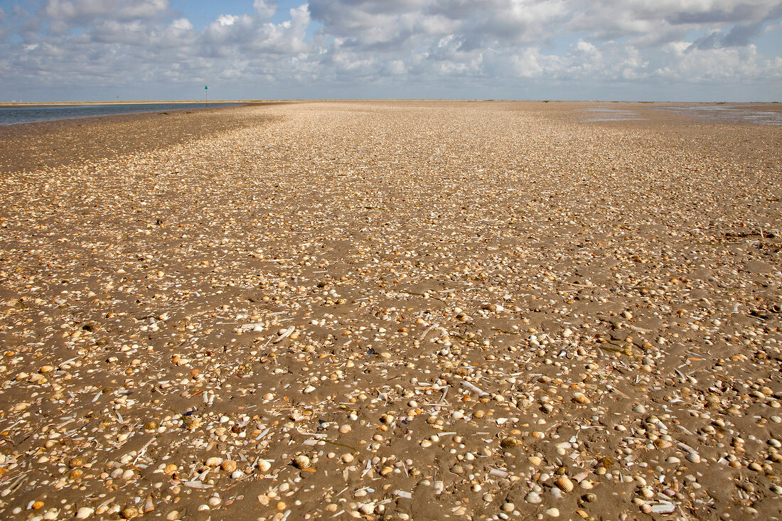 Dänemark, Fanö, Strand, Himmel, Meer 