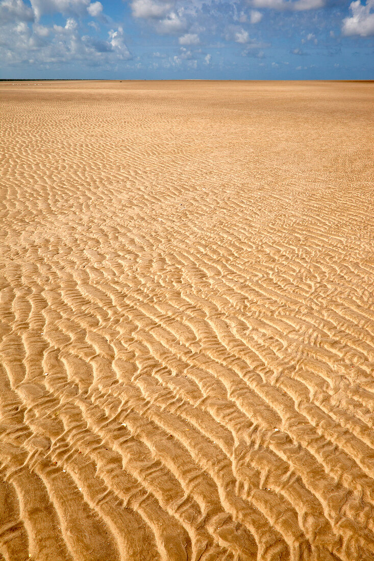 Ripples on sand at Fano beach, Denmark