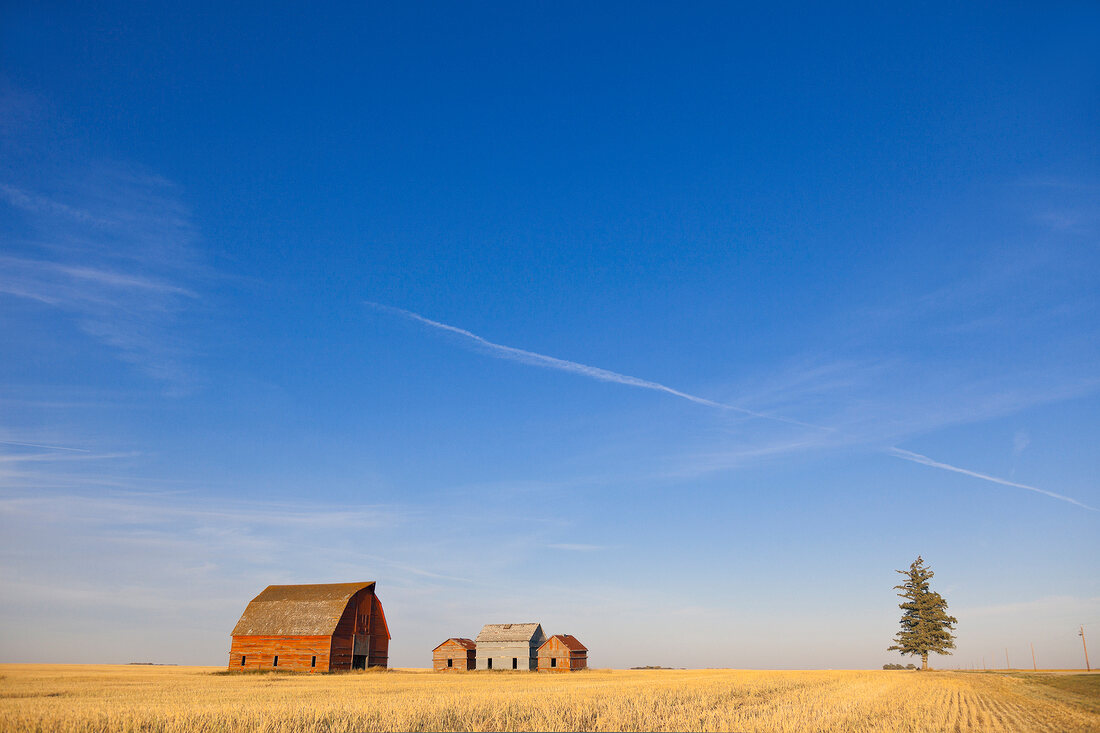 Kanada, Saskatchewan, Farmerhaus, Landschaft, Weite