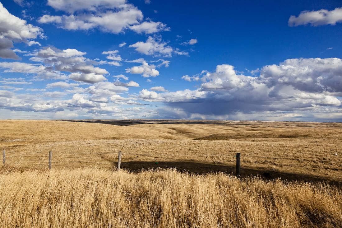 Kanada, Saskatchewan, bei Moose, am Highway 2 South, Landschaft