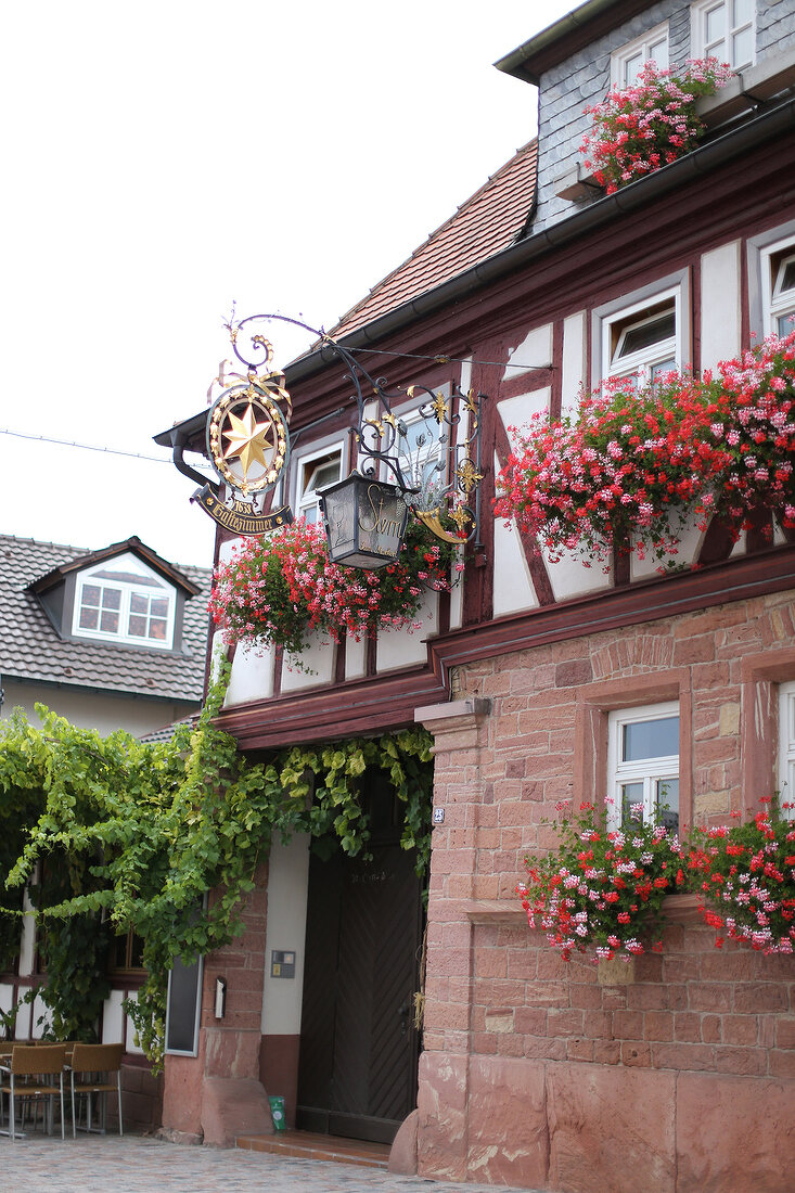 Stern Hotel und Restaurant Marktheidenfeld Bayern