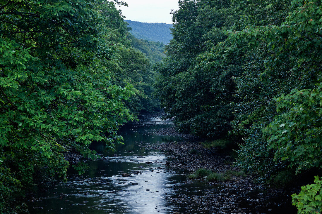 River through Highlands National Park of Canada at Cape Breton Island, Canada