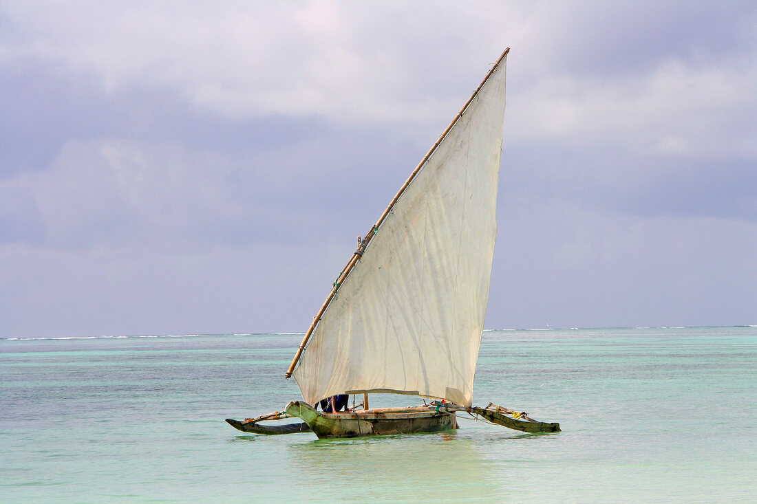 Sailing boat in sea, Zanzibar Island, Tanzania, East Africa