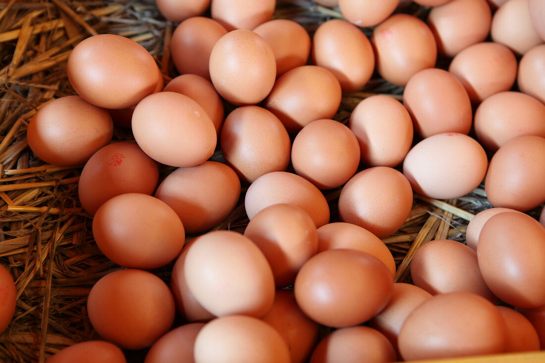 Close-up of several fresh eggs in market