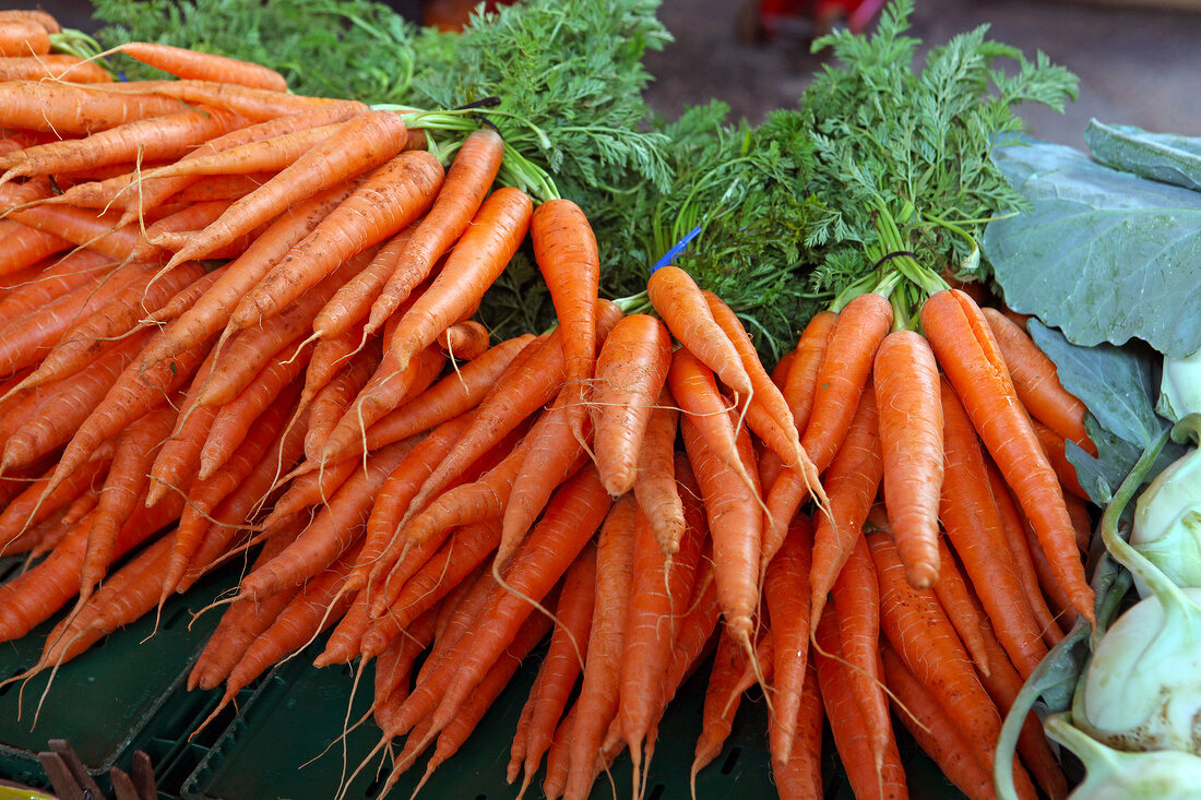 Close-up of several carrots in market