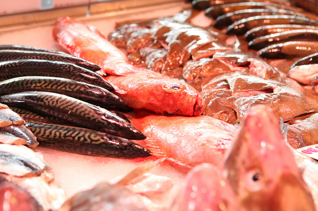 Close-up of various fresh fish kept on display in market