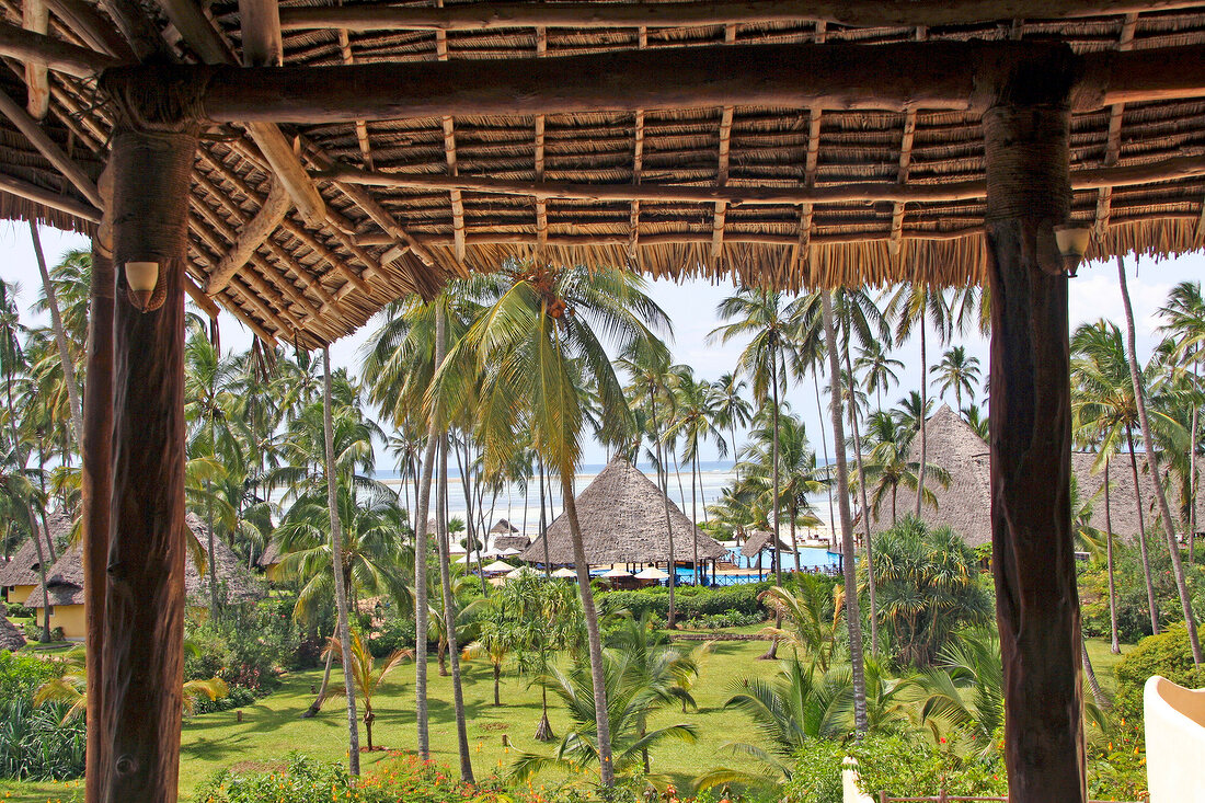 View of gazebos and palm trees on beach of Zanzibar, Tanzania, East Africa